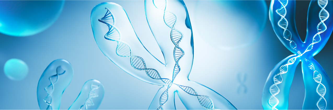 의료기관용 검사서비스